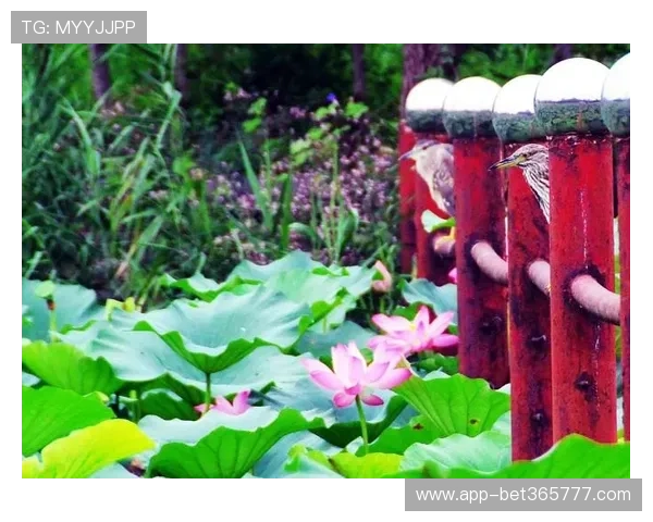 bet365线上官网手机端访问指南，随时随地畅享体育投注乐趣